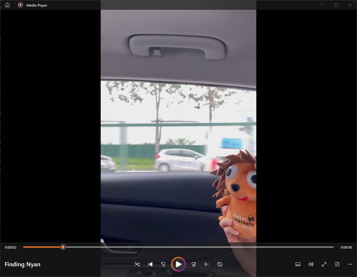 Video of person in a car